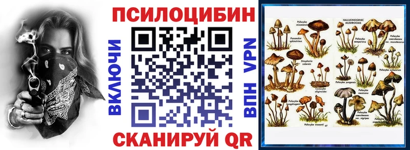 Галлюциногенные грибы Cubensis  Электросталь 