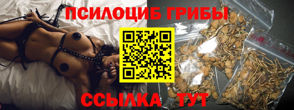 Галлюциногенные грибы MAGIC MUSHROOMS  Вход с VPN  купить   Электросталь 