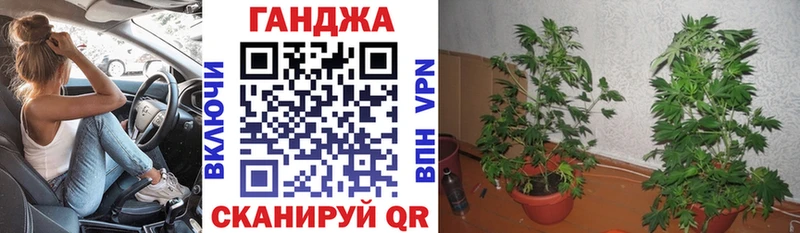 Канабис SATIVA & INDICA  Электросталь 
